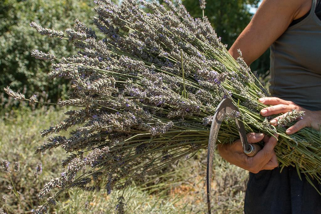 تْشيلاّرينغو La Casetta Di Lu المظهر الخارجي الصورة